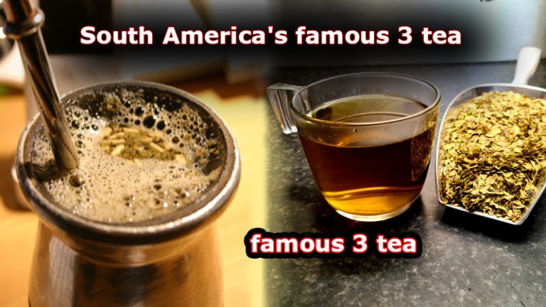 South America’s famous 3 tea The best famous healthy food in South America