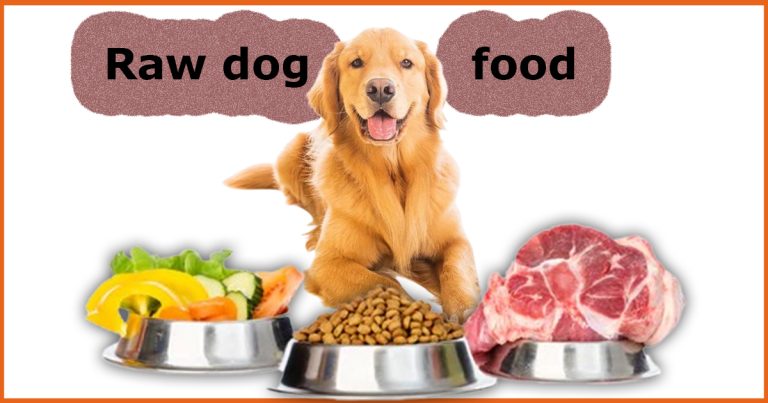 Raw dog food | Premium Nutrition for Your Dog