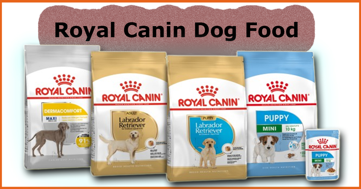 Premium Nutrition for Dogs | Royal Canin Dog Food