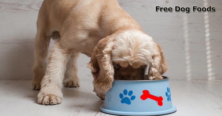 Best Grain Free Dog Foods