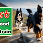 Best Dog Food With Grain