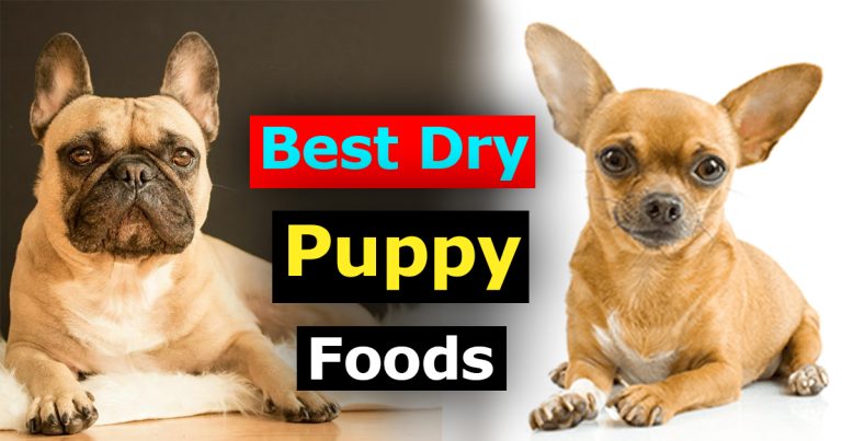 Best Dry Puppy Foods