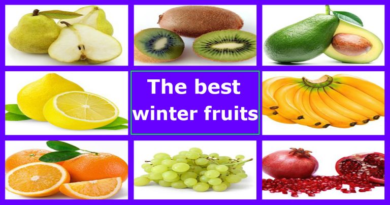 The best winter fruits best winter fruits winter fruits healthy winter fruits